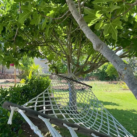 Vila Luxury With Pool In