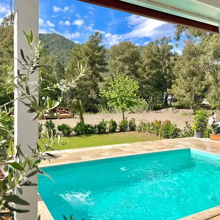 Luxury With Pool In Vila *