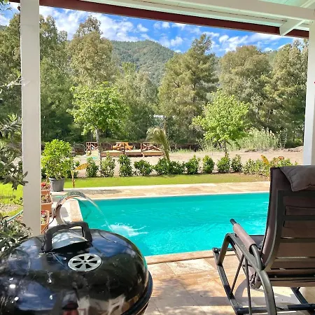 Luxury With Pool In *