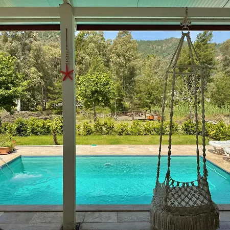 Luxury With Pool In Vilă