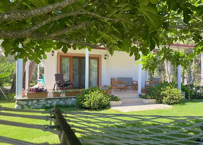 Luxury With Pool In *